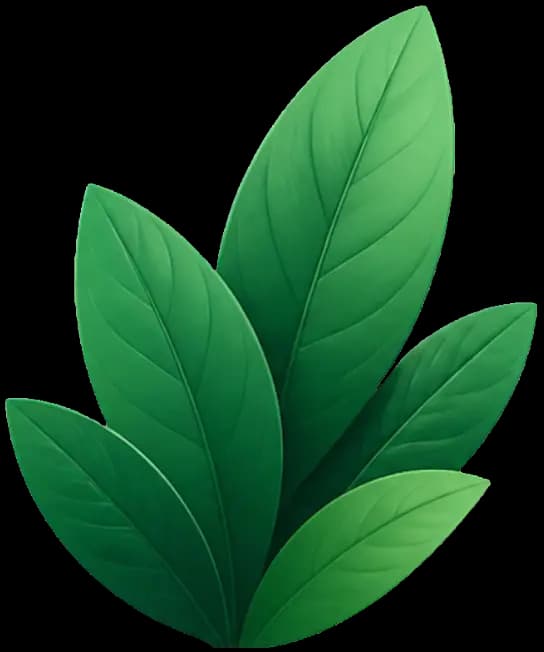 Decorative shrub